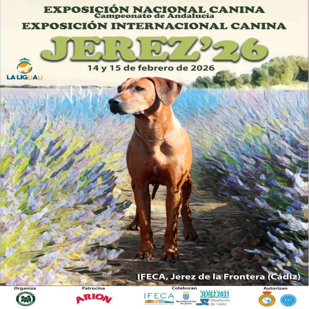 Más de 1.000 perros ... este fin de semana en Ifeca 