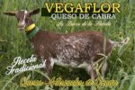 VEGAFLORsinfondo