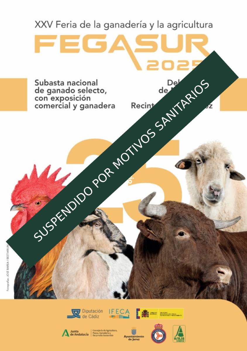 Fegasur 2025 - Suspendido por motivos sanitarios
