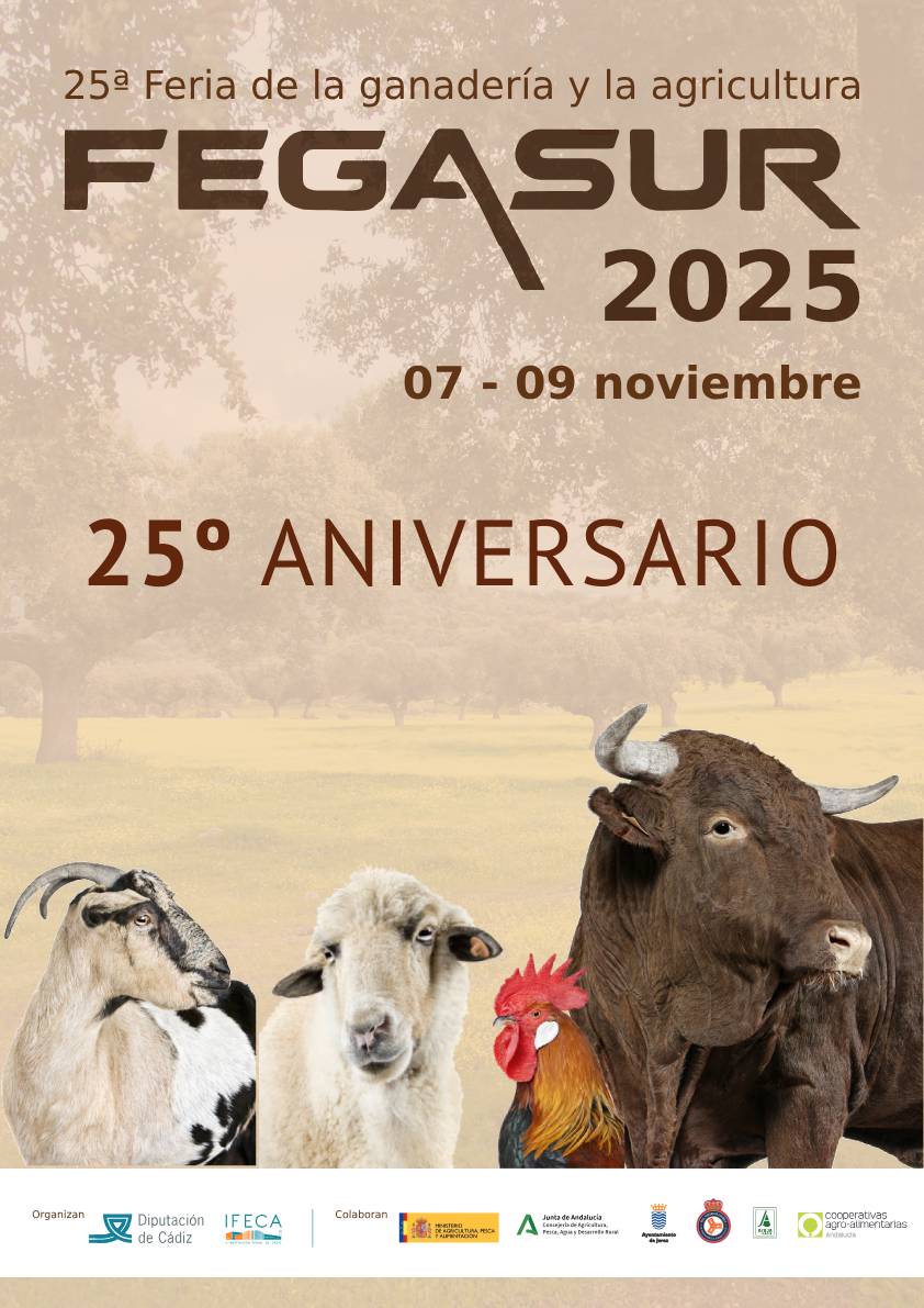 Fegasur 2025
