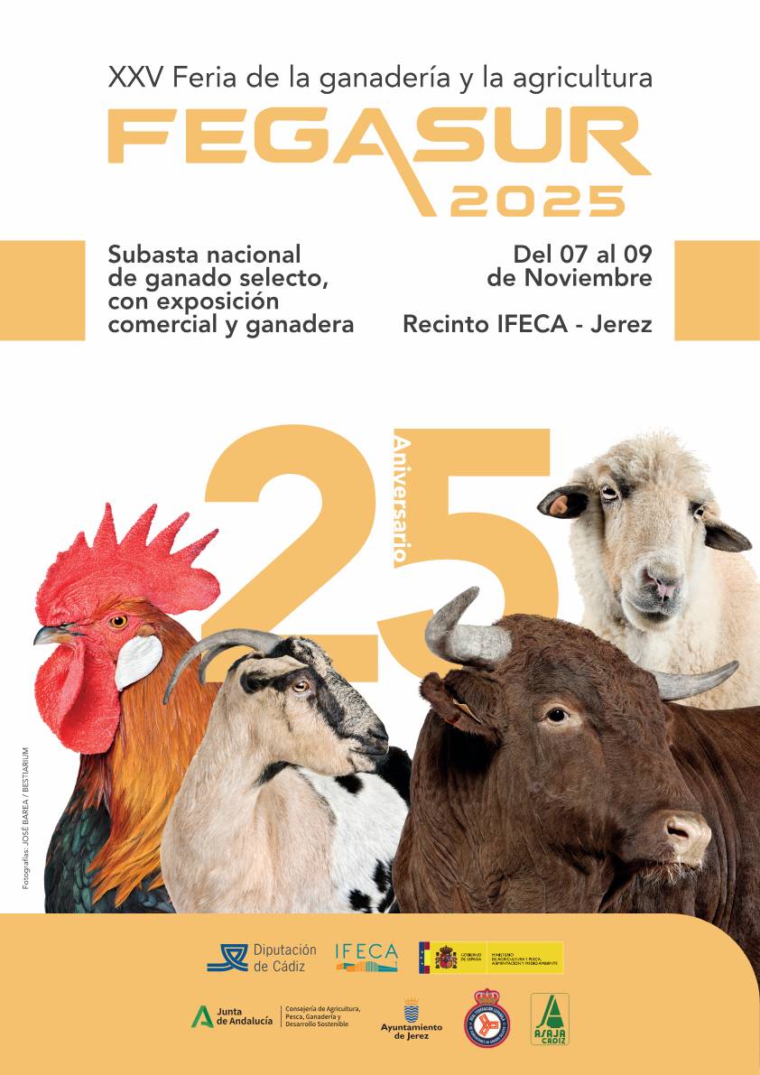 FEGASUR 2025 (25ª Edición)