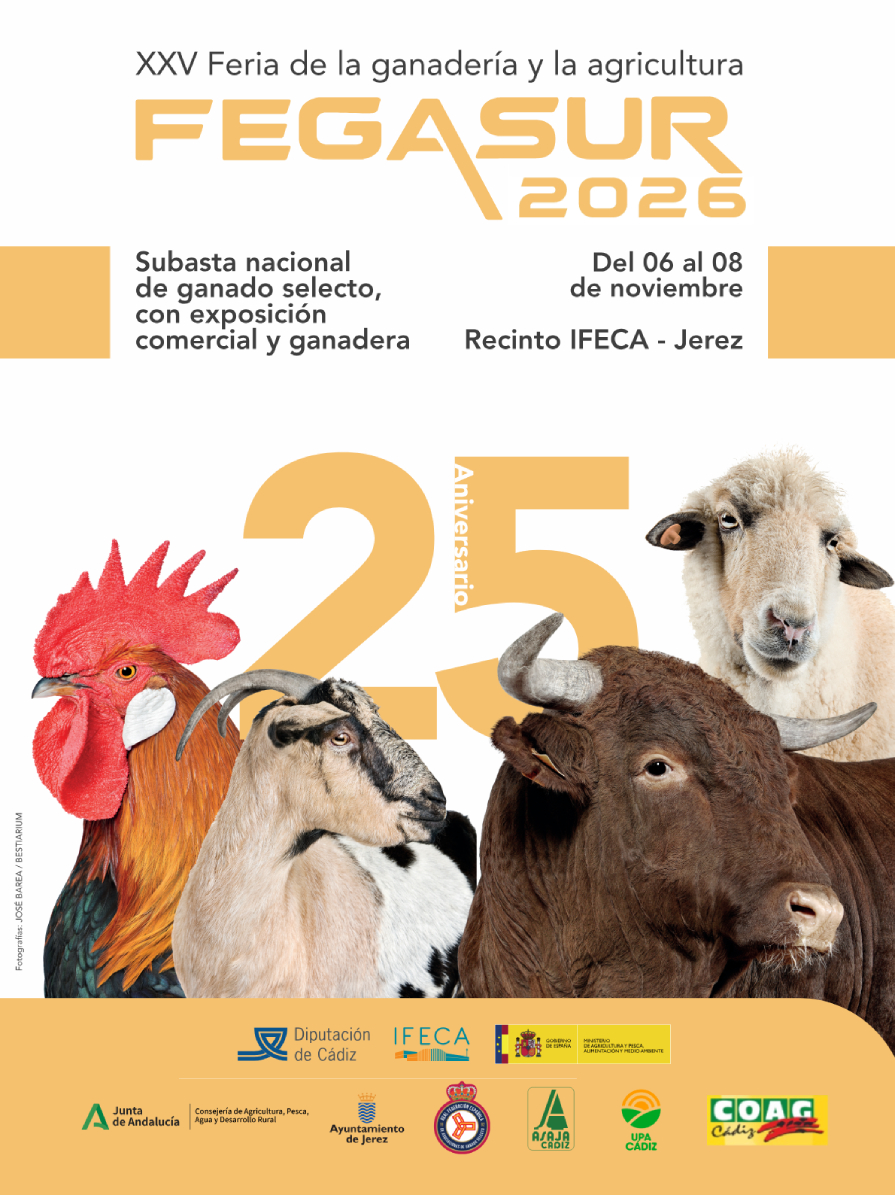 Fegasur 2026