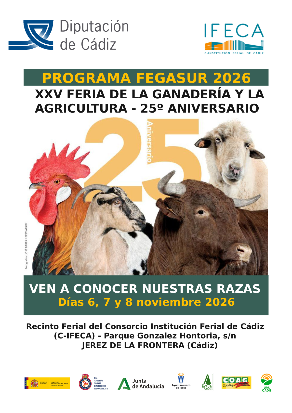 Programa de actividades de FEGASUR 2026