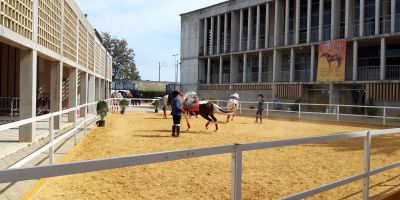 Concurso Morfológico Equisur 2019