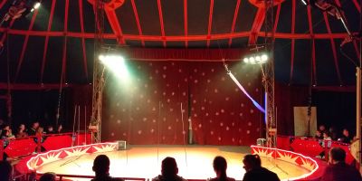 El circo en Juvelandia