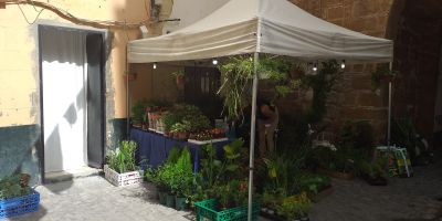 Parada Mercado Andalusí de Plansur- Barrio del Pópulo