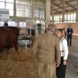 Éxito de público en la vigésima edición de Fegasur