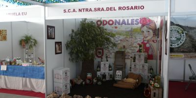 Foto stand SCA Ntra. Sra. del Rosario - Olivera