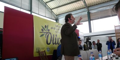 Cata AOVE - Olivera