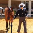 Equisur, una cita obligada para amantes del mundo del caballo