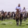 El caballo marismeño acude por primera vez a Fegasur